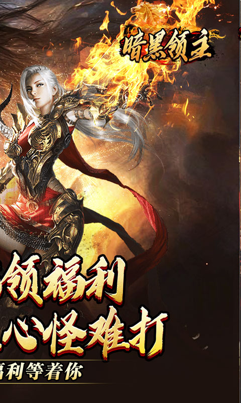 暗黑领主游戏截图2